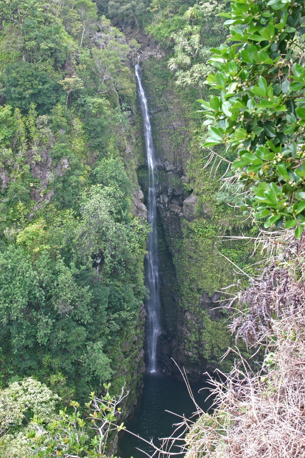 Lower Puohokamoa Falls