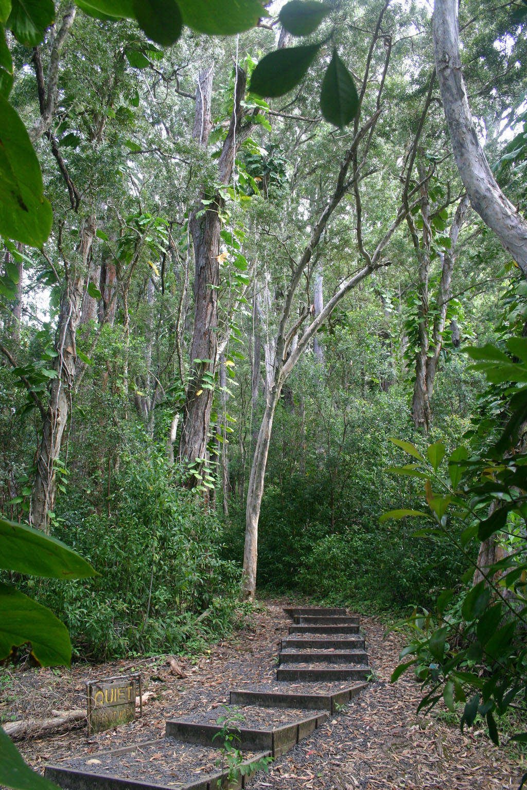 Waikamoi Nature Trail