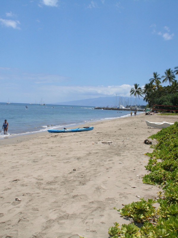 Kamehameha Iki Park (aka Armory Park)