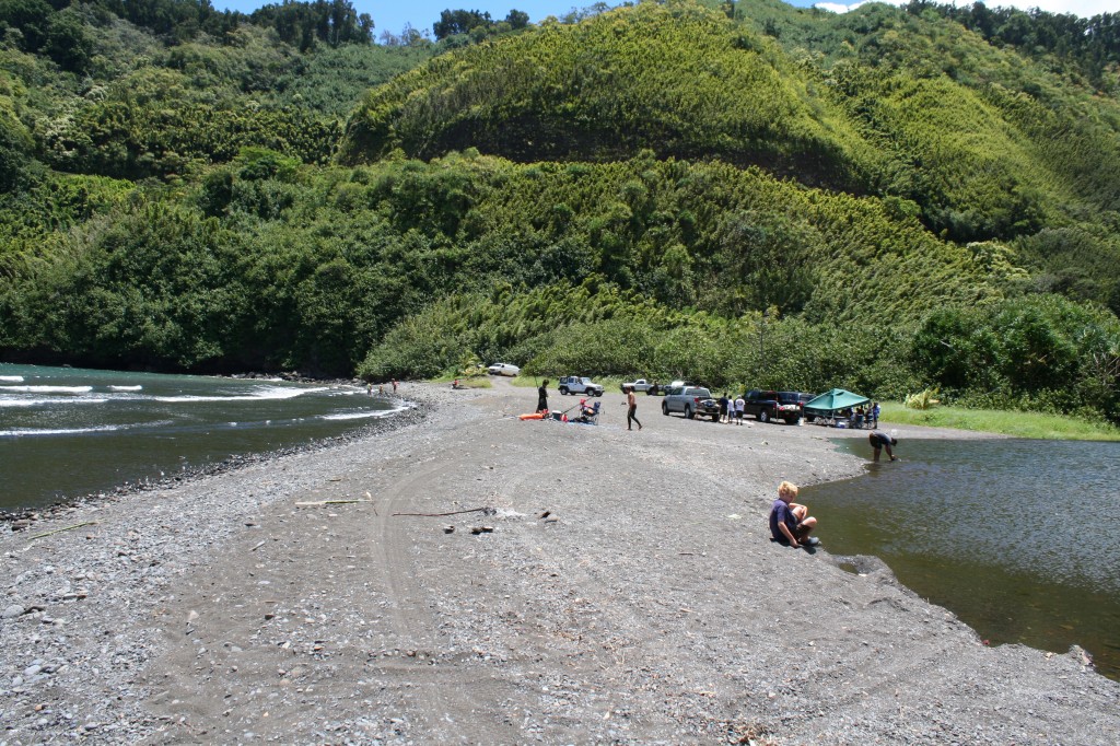 The beach. Ocean on the left, fresh water on the right.