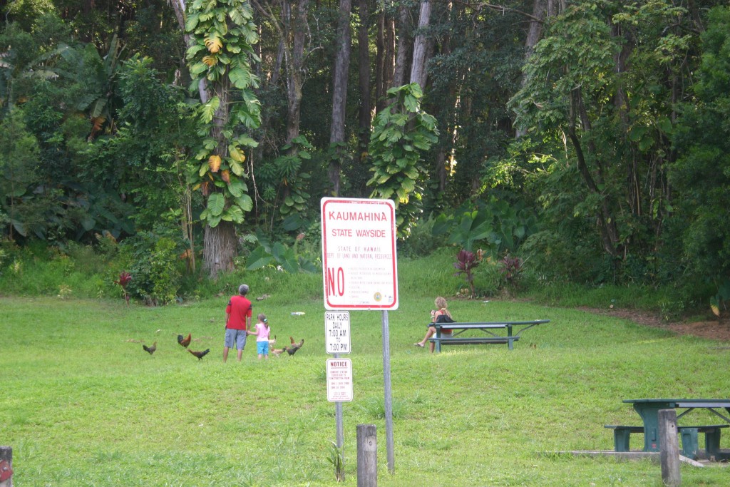Kaumahina State Wayside