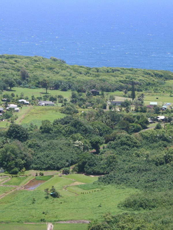 Wailua from the Hana Hwy above