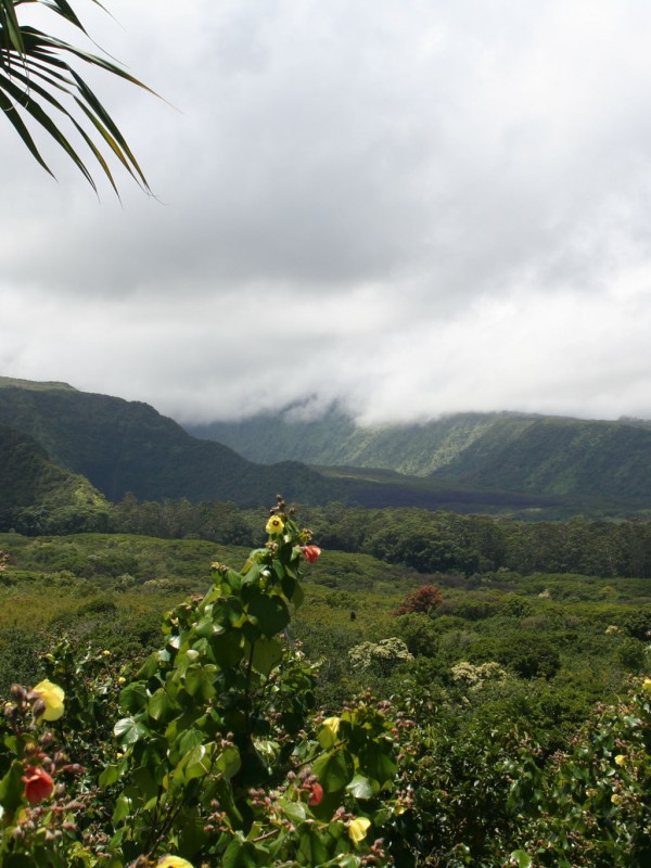 Wailua Valley