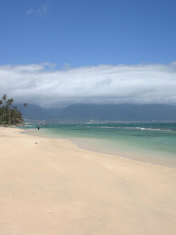 Somewhere along Camp One Beach
