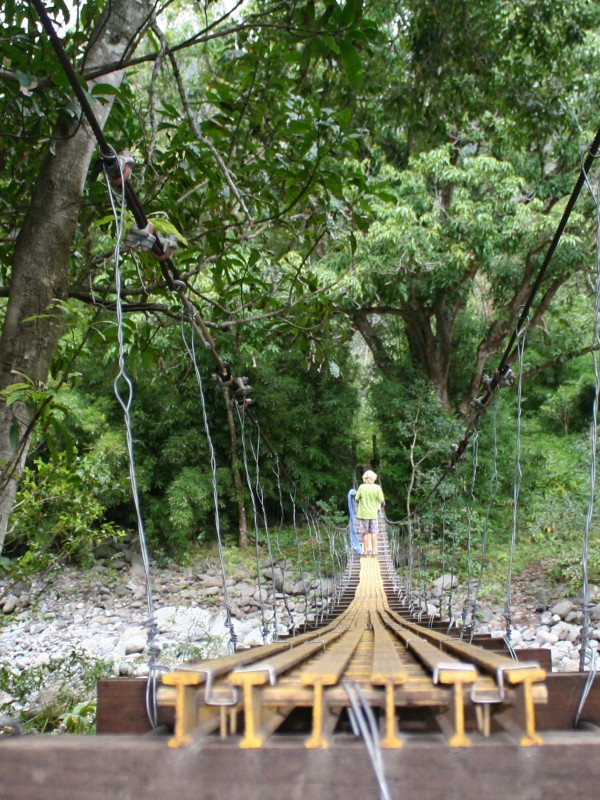 Swinging Bridges in 2011