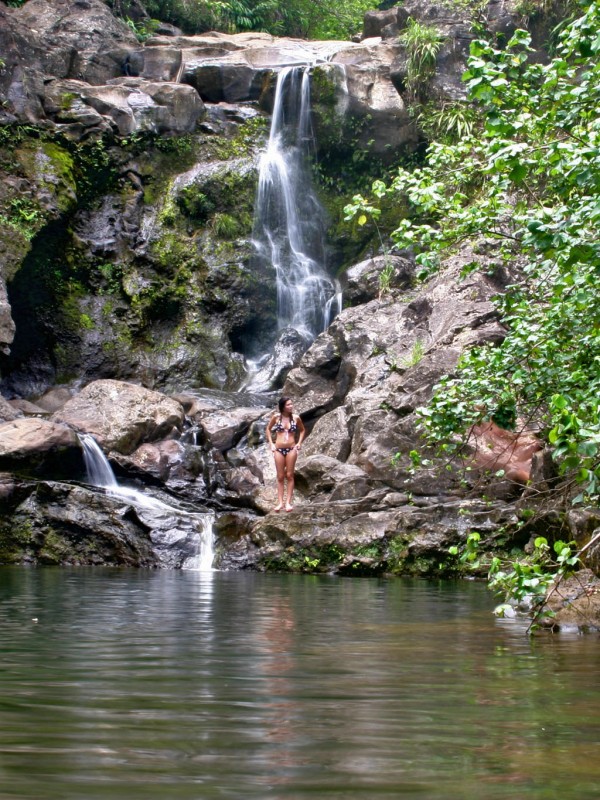 Nailiilihaele Bamboo Forest