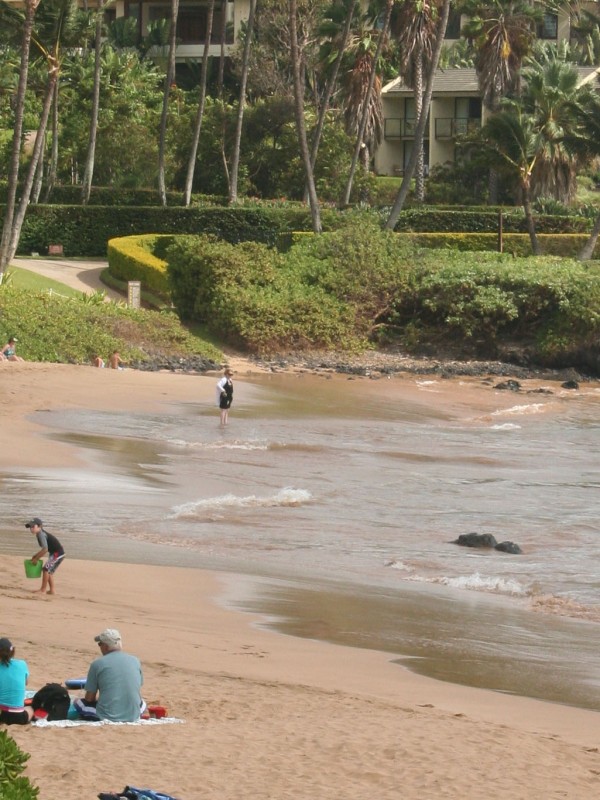 Ulua Beach