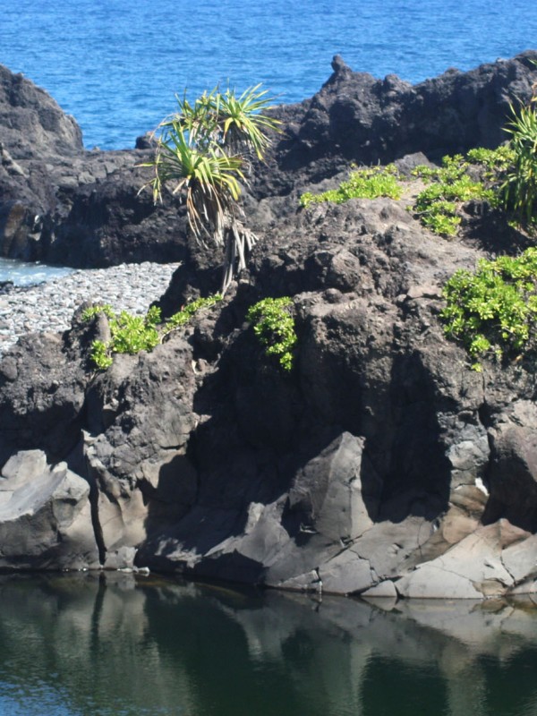 The hala Capped lava island can serve as a leaping point in proper conditions.
