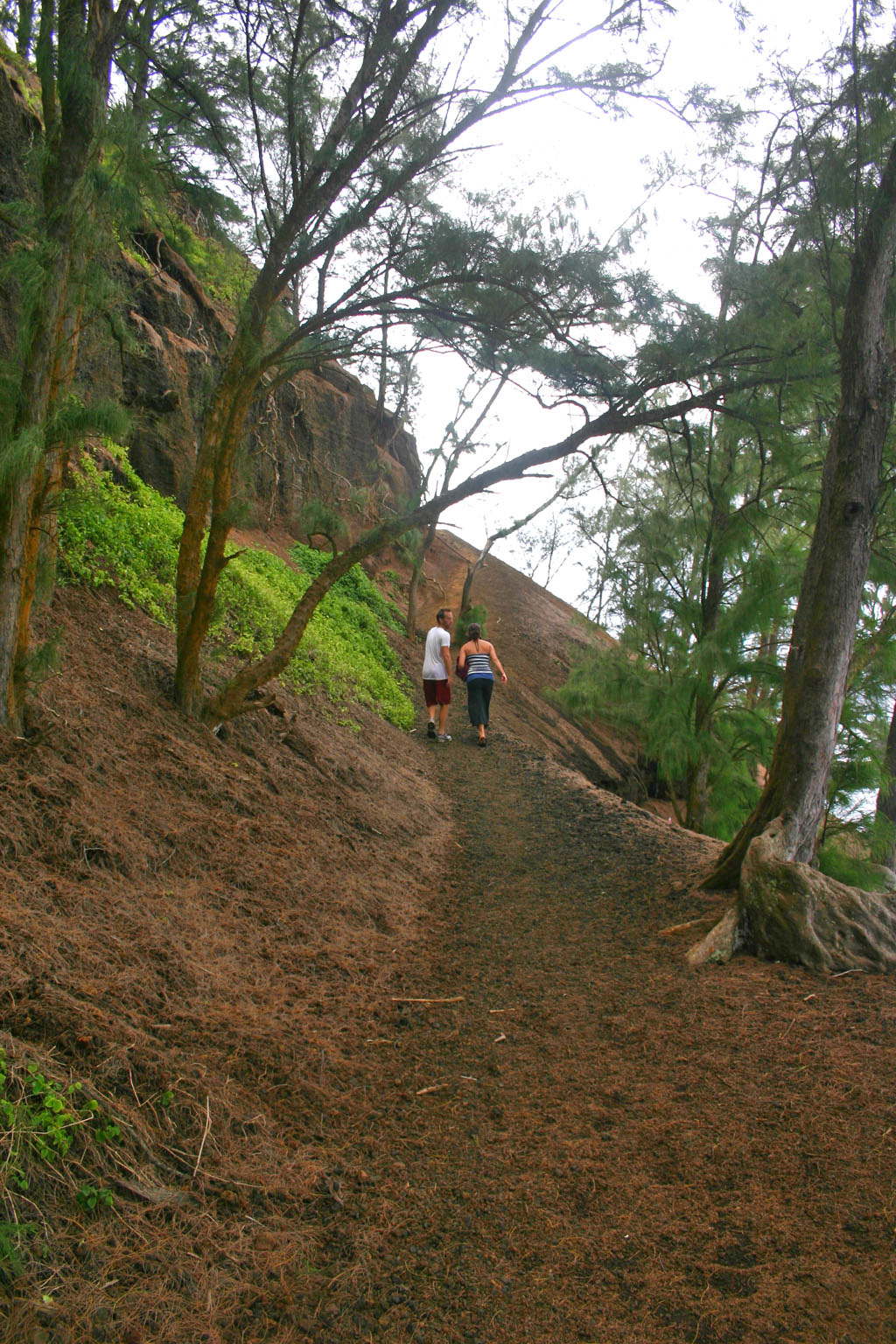 Red Sand Beach trail