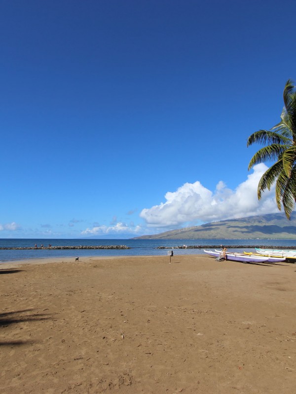 Kalepolepo Beach