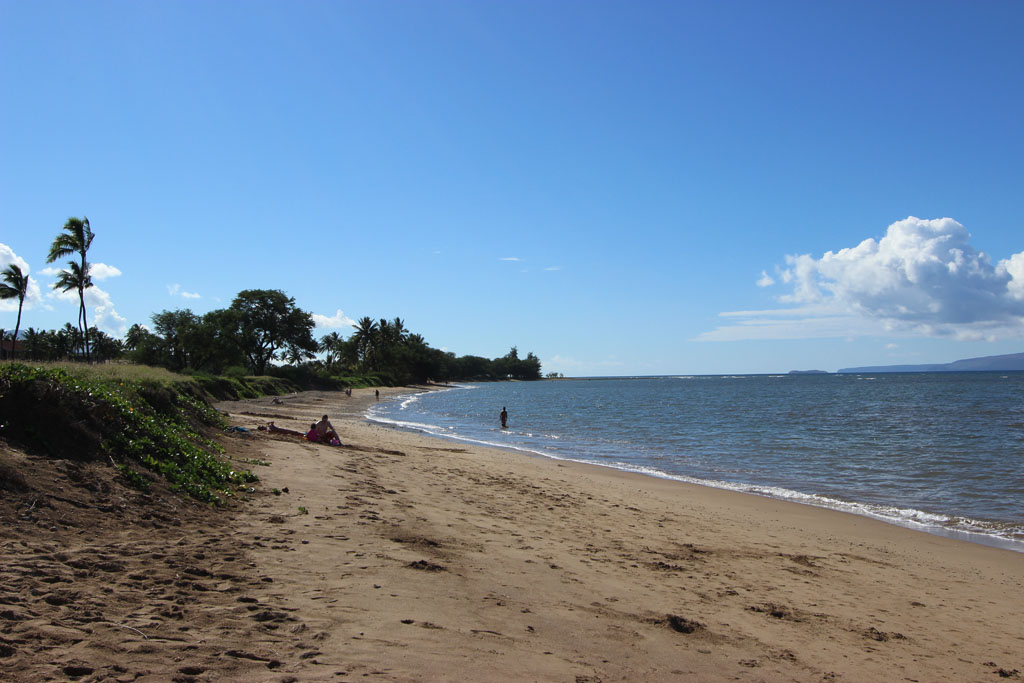 waipuilani-beach-koa-wide