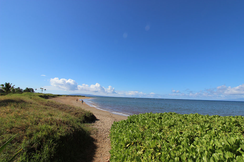 North end of Waipu'ilani beach, facing South