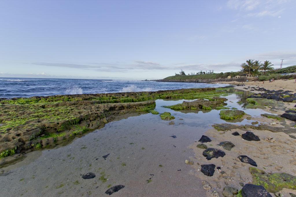 Hookipa beach reef and tidepools