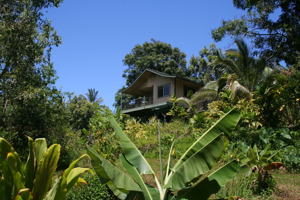 The cottage sits on a ridge, built on stilts overlooking the jungle canopy.