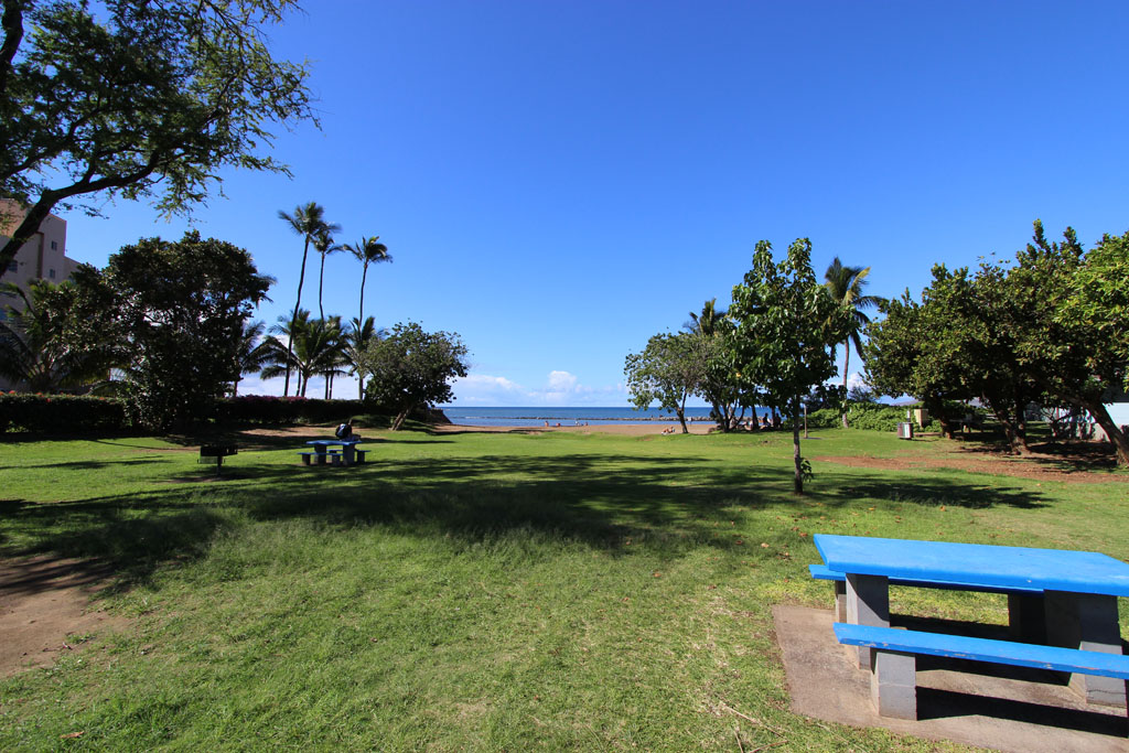 BBQ and picnic tables