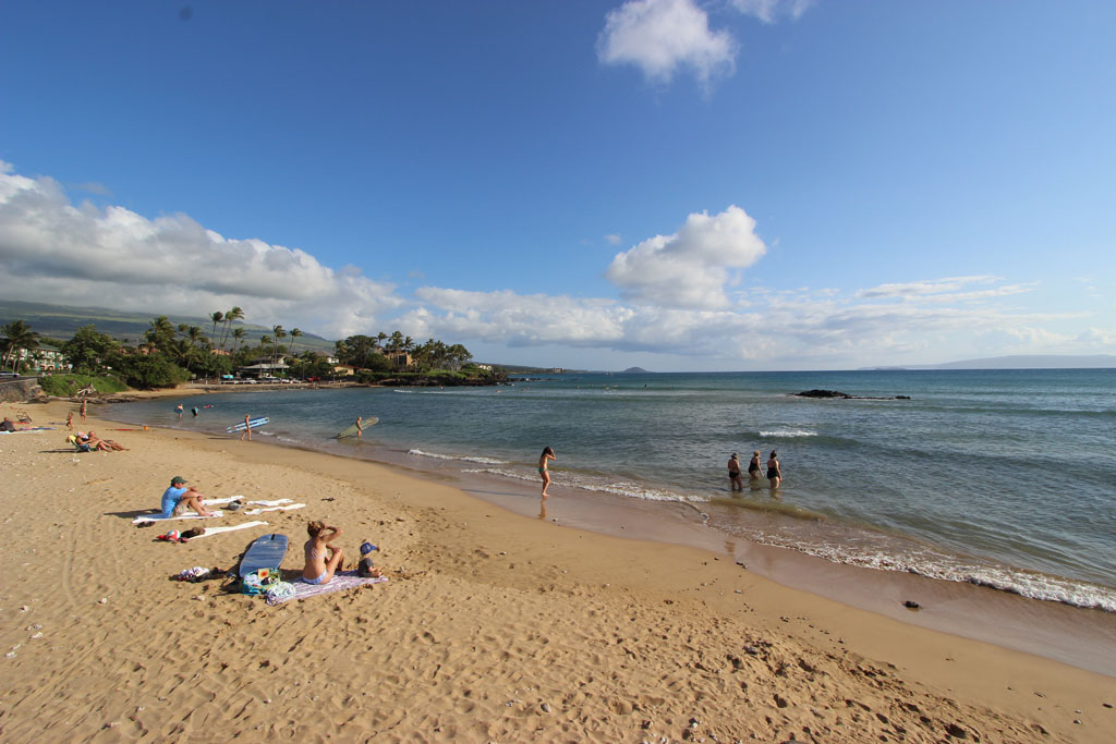 Cove Park beach