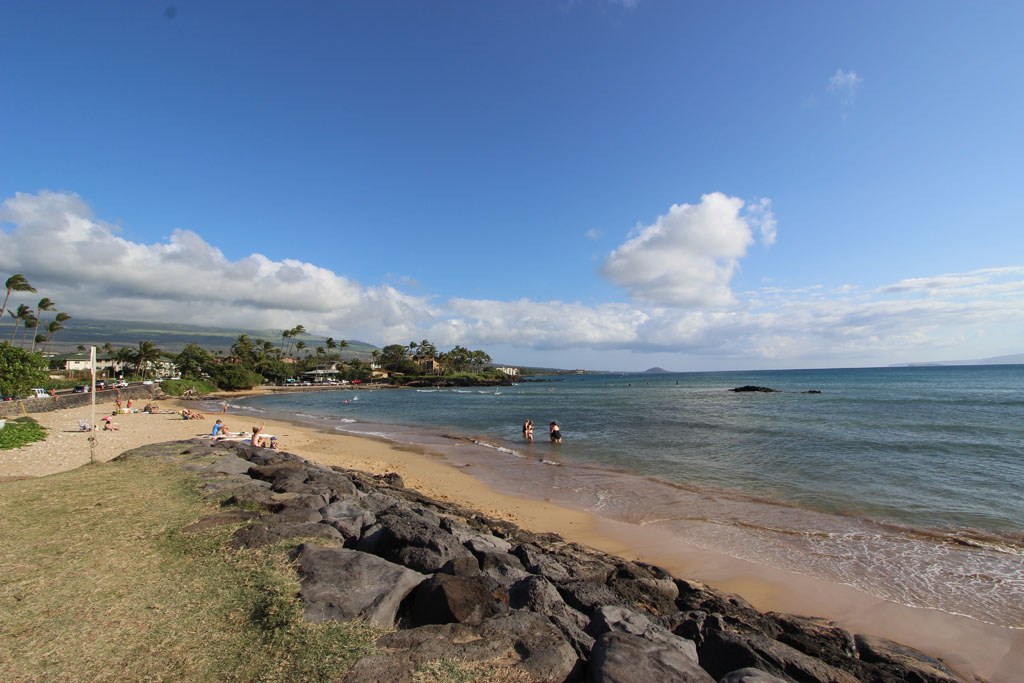 Cove Park beach