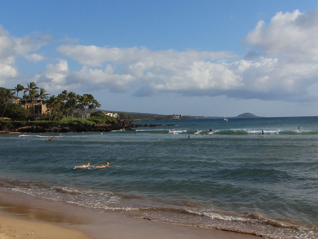 Cove Park surfers