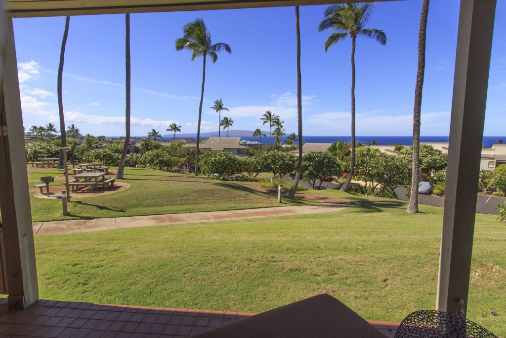 Lanai view