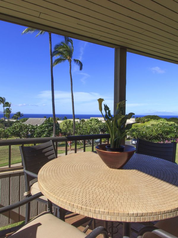 Lanai table view