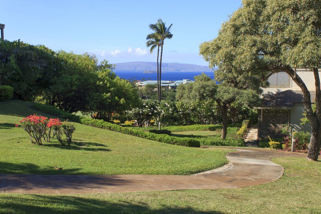 Paths through the grounds