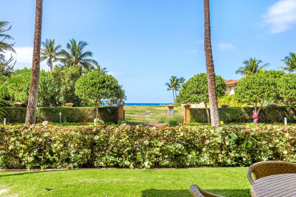View from lanai