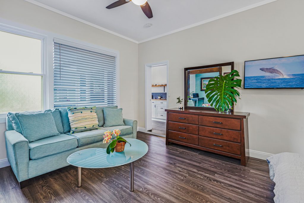 Queen sofa sleeper in bedroom